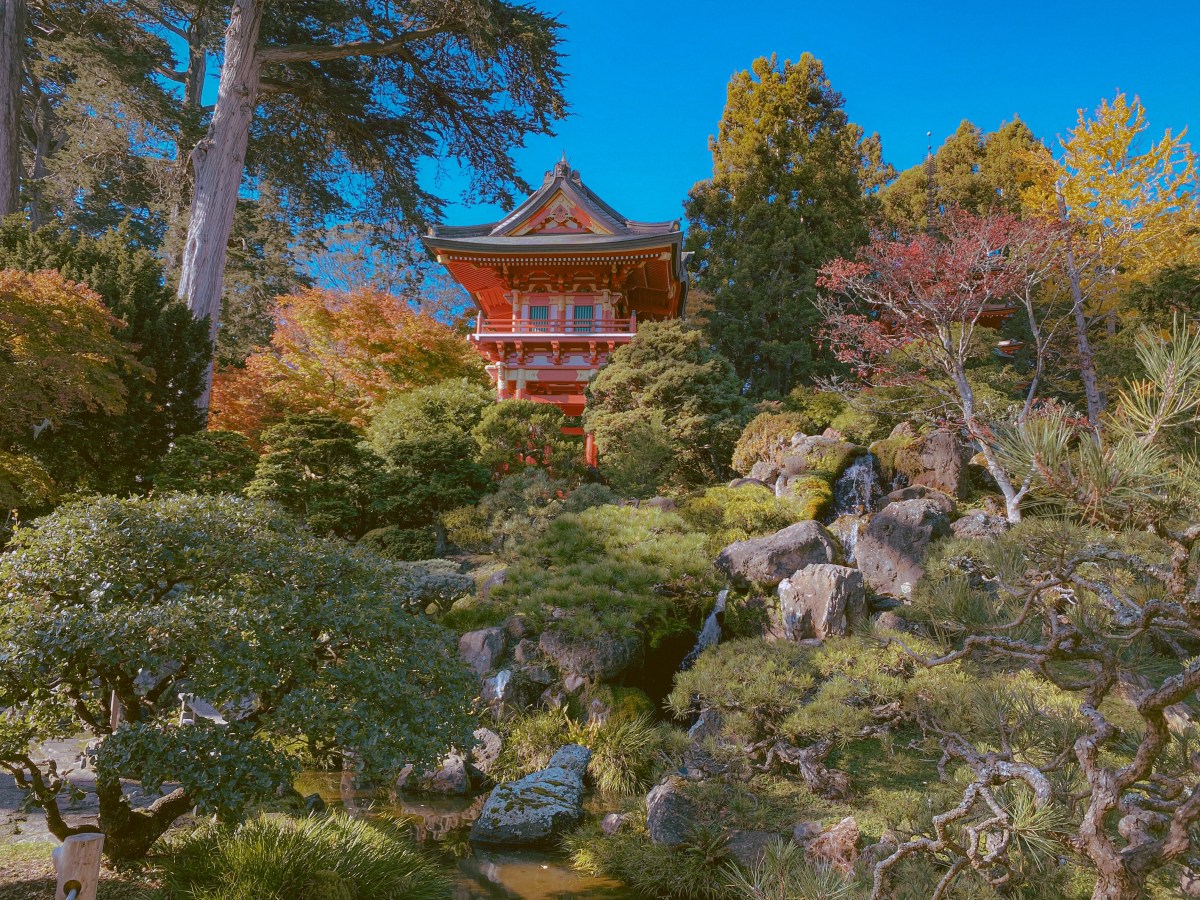 A Golden Birthday to Remember: Day&nbsp;3