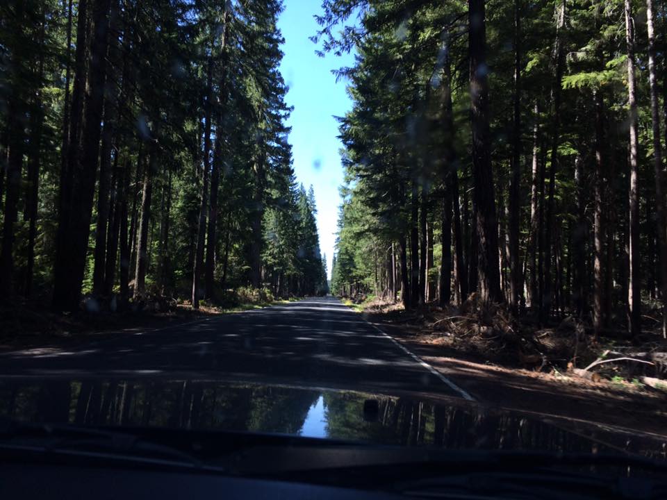 West U.S. Road Trip (Day 5 of&nbsp;10)