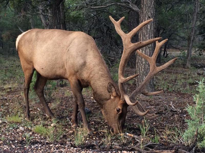 West U.S. Road Trip (Day 9 of&nbsp;10)