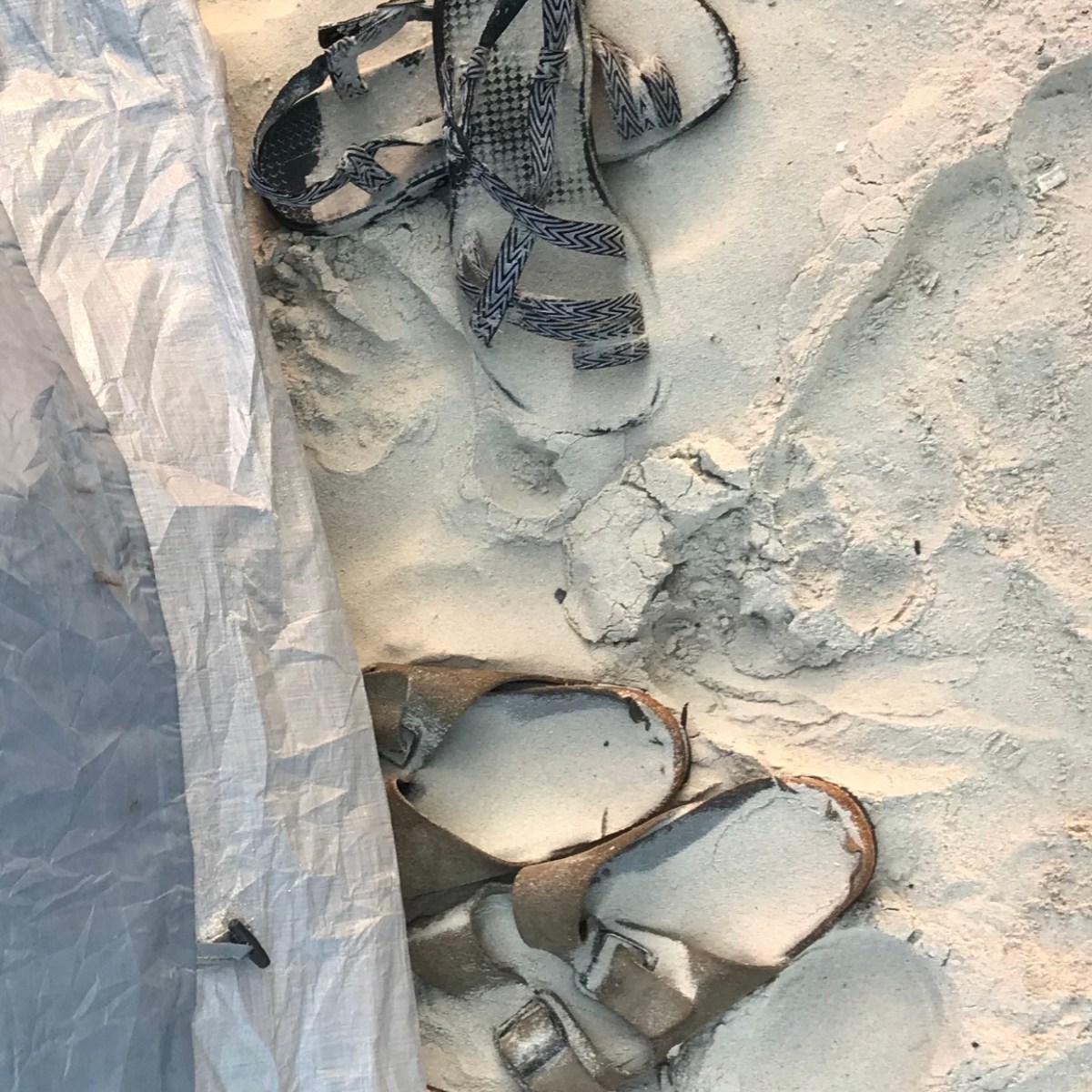 One Photo, One Story&nbsp;(Sandy)