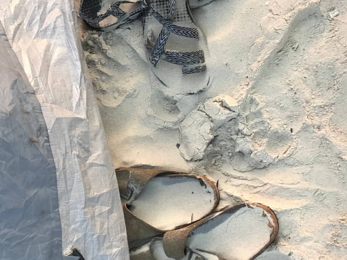 One Photo, One Story&nbsp;(Sandy)